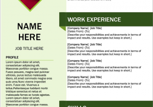 Sample Resume format Download Ms Word 25 Resume Templates for Microsoft Word [free Download]