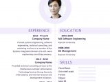 Sample Resume format Download Ms Word 60 Free Word Resume Templates In Ms Word