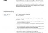 Sample Resume format for Accounts Executive Account Executive Resume & Writing Guide
