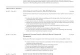 Sample Resume format for Accounts Executive Account Executive Resume & Writing Guide