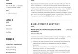 Sample Resume format for Accounts Executive Account Executive Resume & Writing Guide