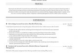 Sample Resume format for Accounts Executive Account Executive Resume & Writing Guide