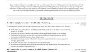 Sample Resume format for Accounts Executive Account Executive Resume & Writing Guide