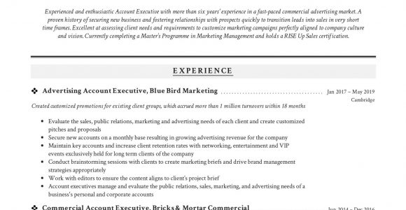 Sample Resume format for Accounts Executive Account Executive Resume & Writing Guide
