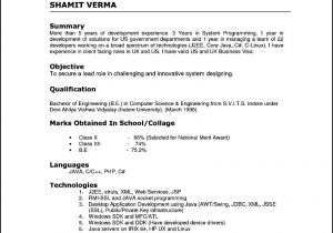 Sample Resume format for Experienced It Professionals Free Download Resume format for Experienced It Professionals Doc