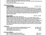 Sample Resume format for Experienced It Professionals Free Download Resume Template for Experienced Professional