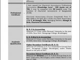 Sample Resume format for Experienced It Professionals Free Download Sample Resume for Experienced Professional