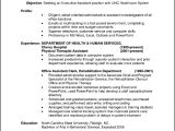 Sample Resume format for Experienced Professionals Sample Resume format for Experienced It Professionals