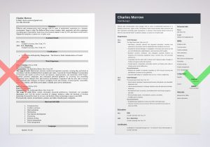 Sample Resume format for Hotel Industry Hotel Manager Resume: Sample & Writing Guide [20lancarrezekiq Tips]
