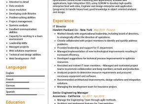 Sample Resume format for It Professional It Director Resume Example