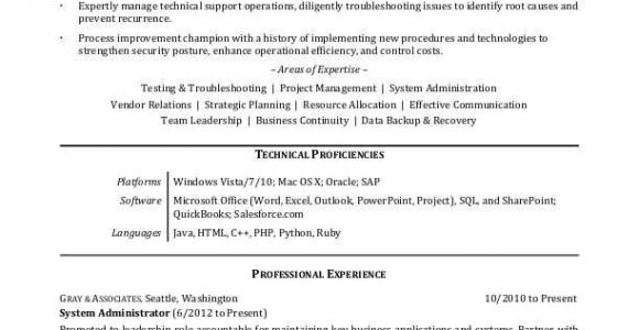 Sample Resume format for It Professional It Professional Resume Sample