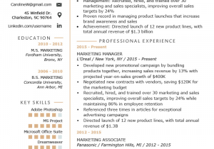 Sample Resume format for Marketing Manager Marketing Manager Resume Example & Writing Tips