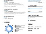 Sample Resume format for Marketing Manager Marketing Manager Resume Samples A Step by Step Guide