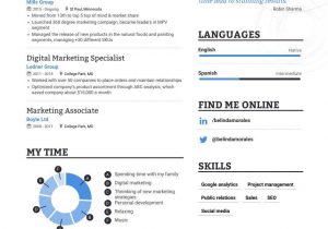 Sample Resume format for Marketing Manager Marketing Manager Resume Samples A Step by Step Guide