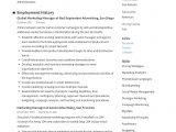 Sample Resume format for Marketing Manager Marketing Manager Resume Writing Guide 12 Templates