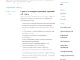 Sample Resume format for Marketing Manager Marketing Manager Resume Writing Guide 12 Templates