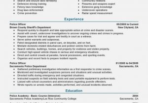 Sample Resume format for Retired Government Officer the Miracle Resume
