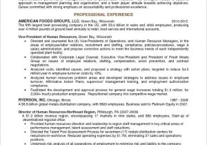 Sample Resume format for Sales Executive Account Executive Sample Resume, Account Manager Sample Resume …