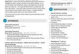 Sample Resume format for Sales Executive Fleet Sales Executive Resume Sample 2021 Writing Tips – Resumekraft