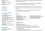 Sample Resume format for Sales Executive Sales Executive Resume Example Cv Sample [2020] – Resumekraft