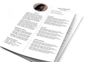 Sample Resume format Ready to Edit Print Ready Resume Template Free Psd Resumekraft