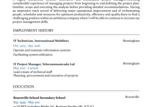 Sample Resume From Usa Job Builder Create A Perfect Resume In 5 Minutes! Online Resume Builder
