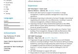 Sample Resume From Usa Job Builder Professional Sap Resume Sample 2022 Writing Tips – Resumekraft