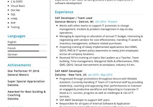 Sample Resume From Usa Job Builder Professional Sap Resume Sample 2022 Writing Tips – Resumekraft