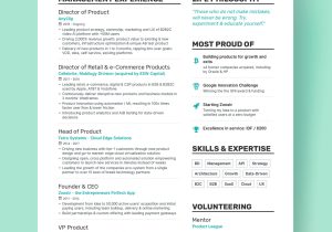 Sample Resume Girls Activist Network organization A Breakdown Of A Successful One Page Resume â and How to Write …
