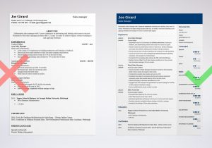 Sample Resume Headline for Sales Manager Sales Manager Resume Examples [templates & Key Skills]