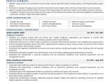 Sample Resume Health Care Middle Manager Healthcare Domain Consultant Resume Examples & Template (with Job …