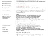 Sample Resume Hr Annual Report Template Hr Resume – 15lancarrezekiq Examples, format, Sample Examples