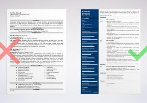 Sample Resume Human Resources with Unemployment Human Resources (hr) Coordinator Resume Sample [20 Tips]