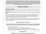 Sample Resume It Helpdesk Chief Information Officer What Should An It Resume Look Like? â are You Searching for An It …