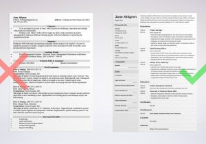 Sample Resume It Project Manager India Project Manager (pm) Resume / Cv Examples (template for 2022)