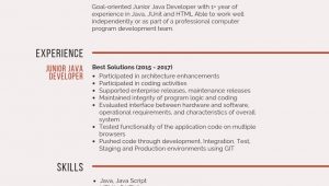 Sample Resume Java Developer 2 Years Experience Junior Java Developer Cv Template October 2021