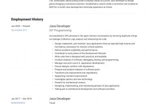 Sample Resume Java Developer 3 Years Experience Java Developer Resume & Writing Guide  20 Templates