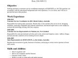 Sample Resume Objective for Call Center Resume Sample Objectives for Customer Service – Customer Service …