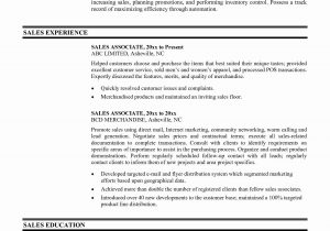 Sample Resume Objective for Sales Position 20 Retail Sales associate Resume Examples Takethisjoborshoveit …