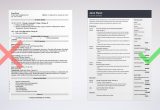 Sample Resume Objective for Secretary Position Secretary Resume: Examples Of Skills, Duties, & Objectives