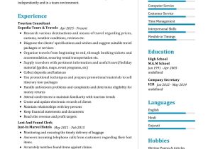 Sample Resume Objective for tourism Students tourism Consultant Resume Sample 2022 Writing Tips – Resumekraft