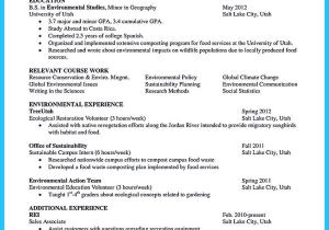 Sample Resume Objective for Working Abroad if You Have Experience In Application Development and You Want to …