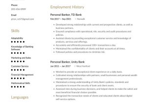 Sample Resume Objective Statement for Banking Personal Banker Resume Examples & Writing Tips 2022 (free Guide)