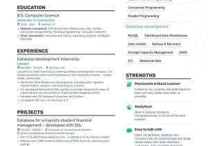 Sample Resume Objective Statement for Computer Science Computer Science Resume Examples & Guide for 2022 (layout, Skills …