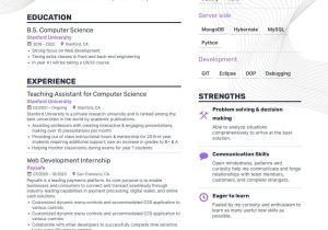 Sample Resume Objective Statement for Computer Science Computer Science Resume Examples & Guide for 2022 (layout, Skills …
