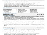 Sample Resume Objective Statement for Government Government & Financial Regulator Resume Examples & Template (with …