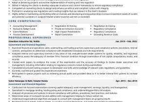 Sample Resume Objective Statement for Government Government & Financial Regulator Resume Examples & Template (with …