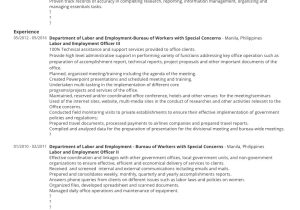 Sample Resume Objective Statement for Government Resume Samples for Government Job Application In the Philippines …
