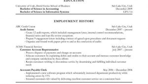 Sample Resume Objective Statements for Accounting Government Resume Objective Statement Examples Strong Objectives …