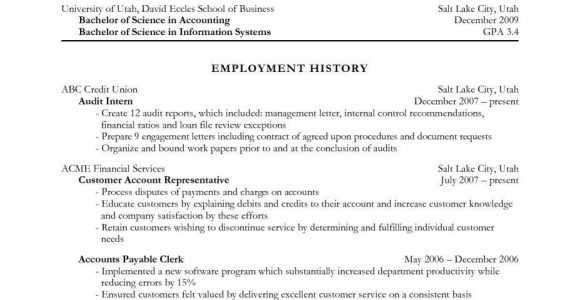 Sample Resume Objective Statements for Accounting Government Resume Objective Statement Examples Strong Objectives …